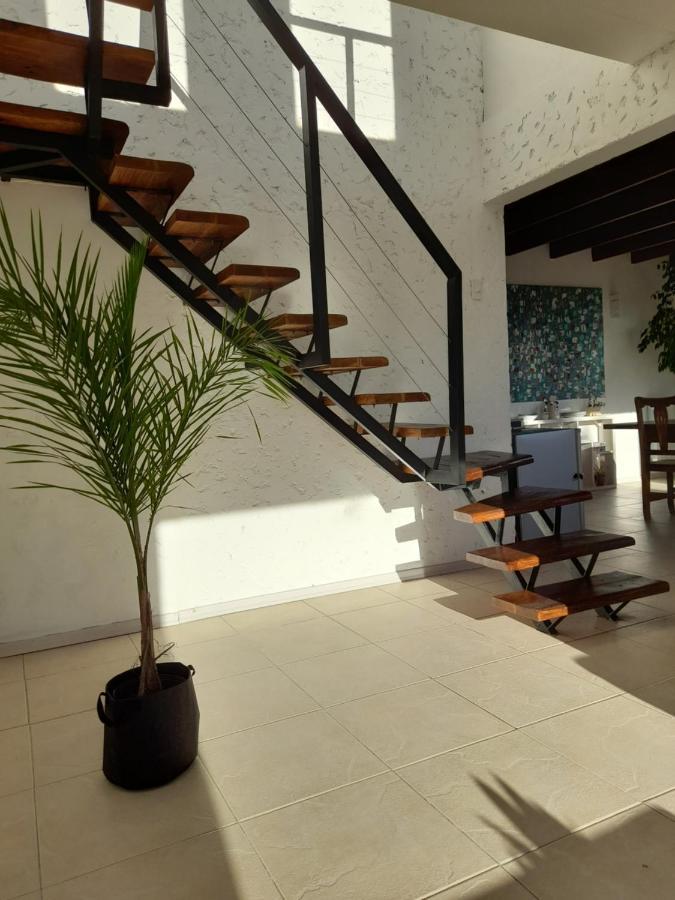Casa Luminosa Con Parque Y Vista Espectacular Apartment El Calafate Ngoại thất bức ảnh
